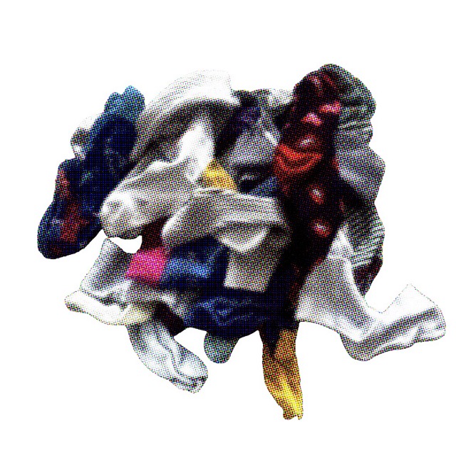Aftermath of the Great Laundry Storm, 1999